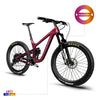 Enduro Bike P9 - Triaero